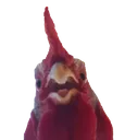 chiKENECN