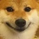 dogehappy