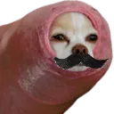 forestachedog