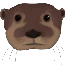 EggyOtter