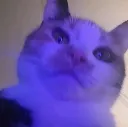 painbelike painbelike