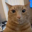 yesgato
