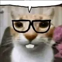 catnerd catnerd