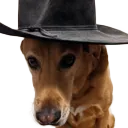 graciecowboy