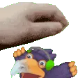 pangopet