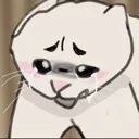 sadcat