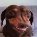 hehe