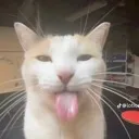 silly