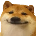 dogsmug