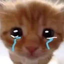 cry cry