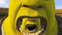 sherk_pog sherk_pog