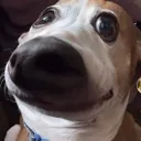emoji_5