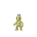 machop