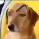 dograisedeyebow Discord emoji