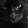 011_catstare Discord emoji