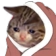 012_cozysadcat Discord emoji