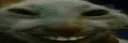 xdd