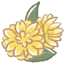 Dandelions
