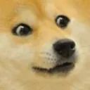 Doge doge Discord Emoji