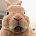 tth_bunny_shock Discord emoji