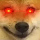 hyperdogehappy
