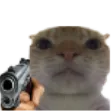 CatGun CatGun