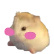 hamsterBlush