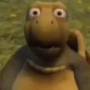 whatinthefuck