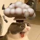 WOAAA