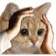 OhNo