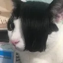 emo_kitty