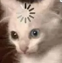 FnT_Buffering