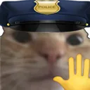 CatPoliceStop