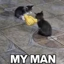 catsHandshake