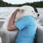 doghug doghug