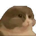 catMunch catMunch