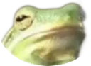 frogface
