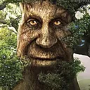 wisemysticaltree wisemysticaltree