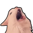 Yell500x500