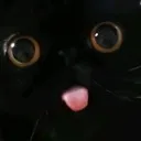 Cattongue cattongue Discord Emoji