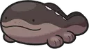 clodsire