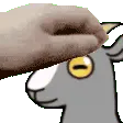 GoatPet