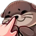 otterboop otterboop