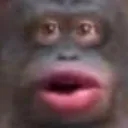 morkirl morkirl