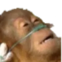 Ded