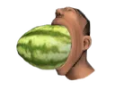 melon