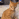 scarykitten animated Discord emote | 🌹PlayGSL❤