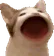 Popcat