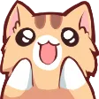 A_Cat_Exciteed