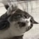 aergay